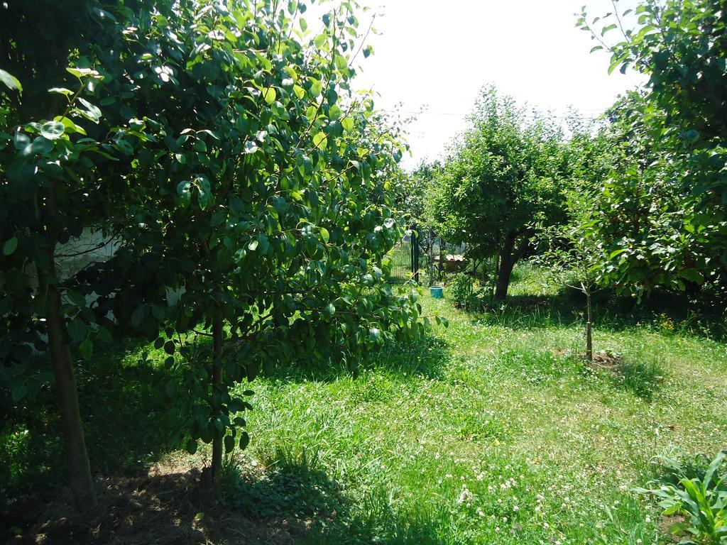 Guest house Montanes