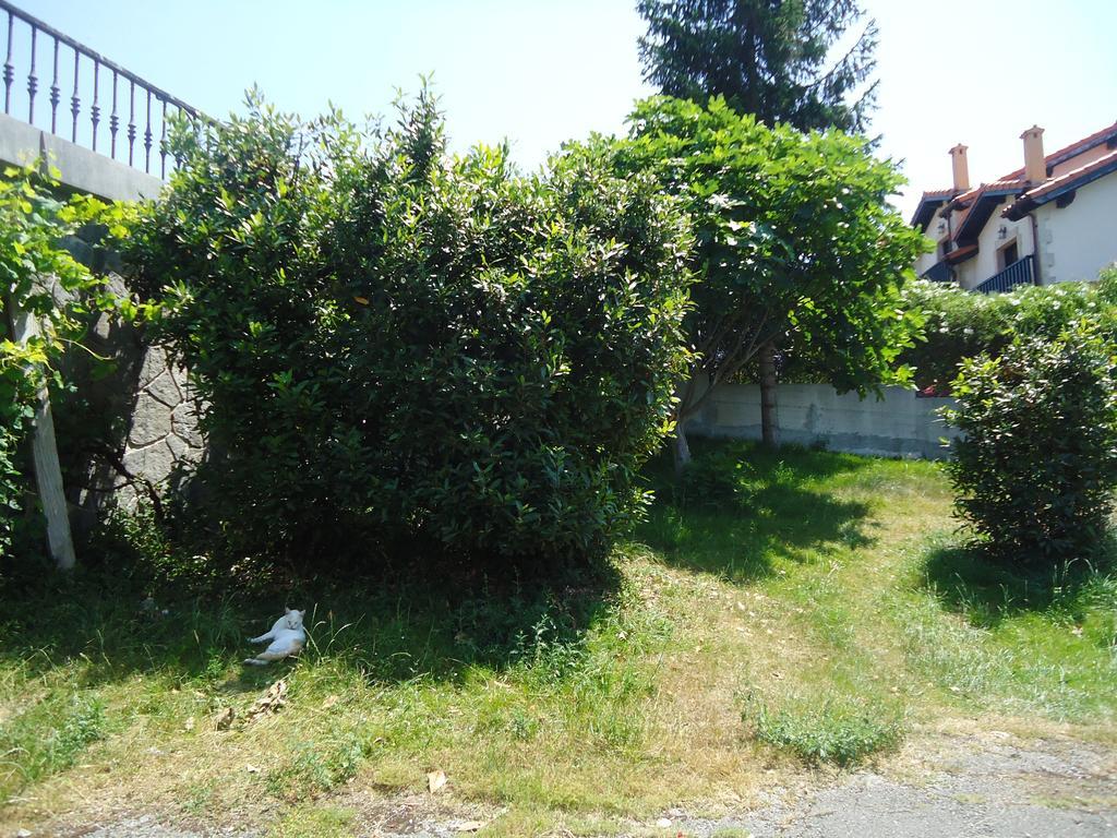Montanes Guest house *