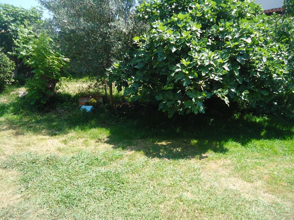 Montanes Guest house